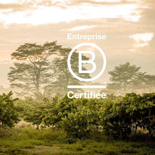 Valrhona B Corporation