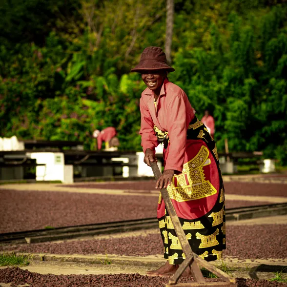 Valrhona cocoa producer in Madagascar