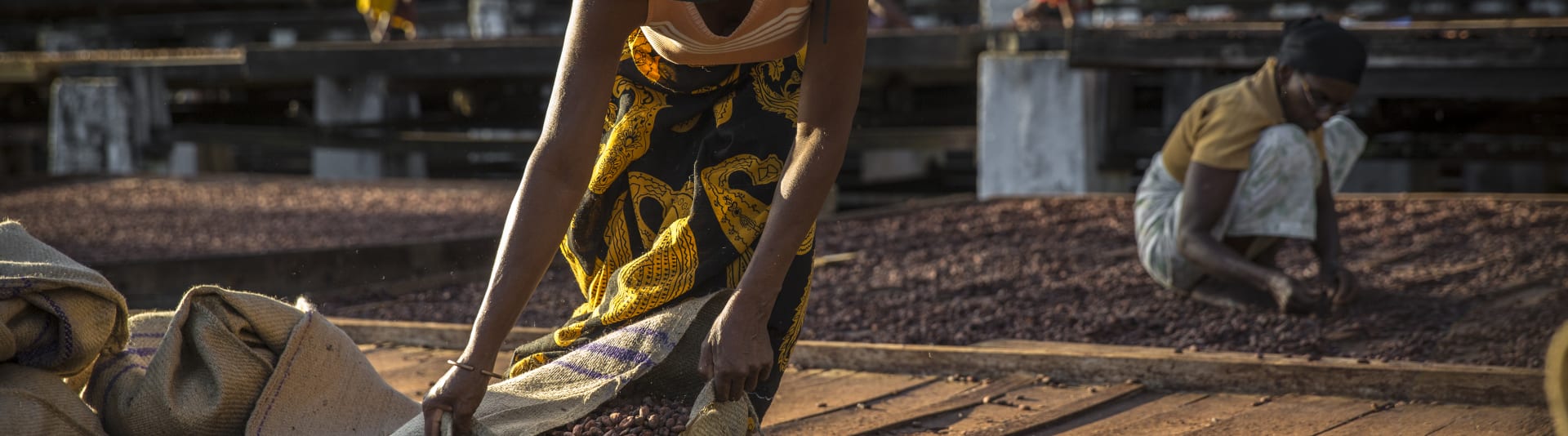 Valrhona's cocoa producer in Madagascar